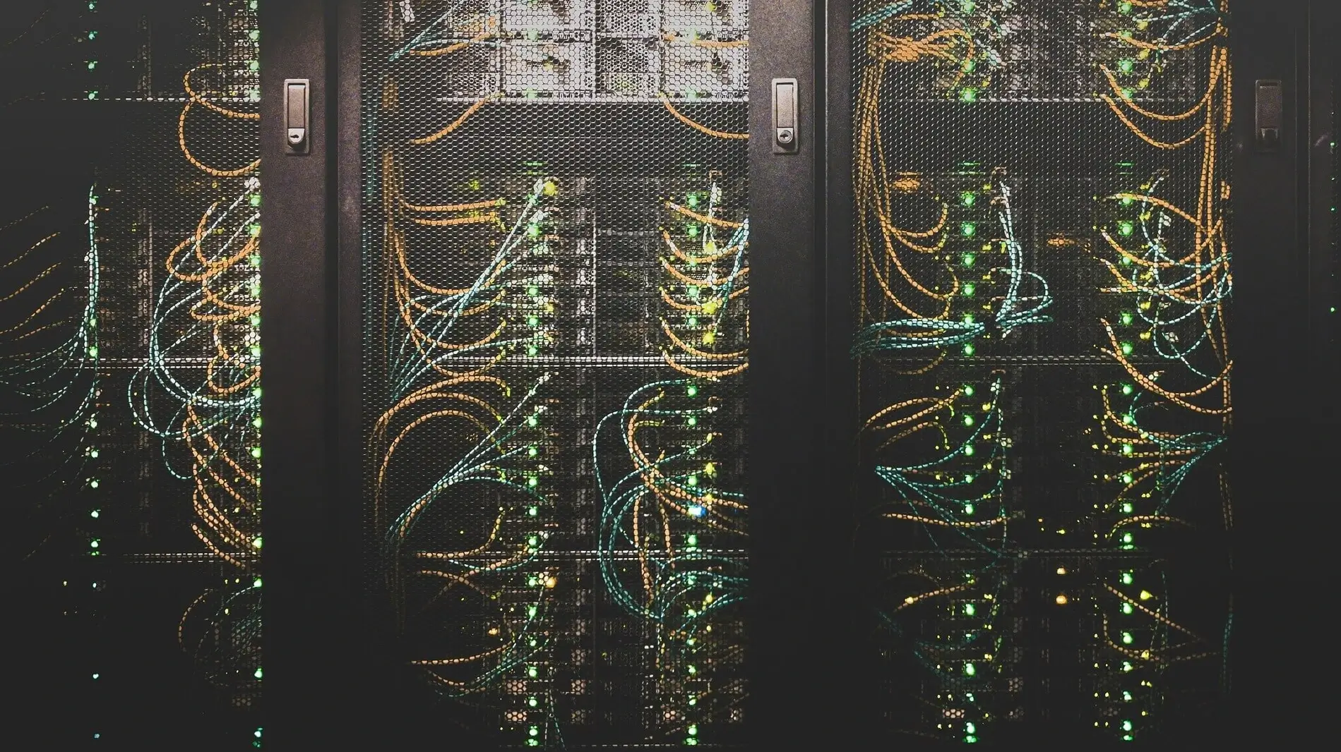 Networks That Stay Connected by Bitwise Forge